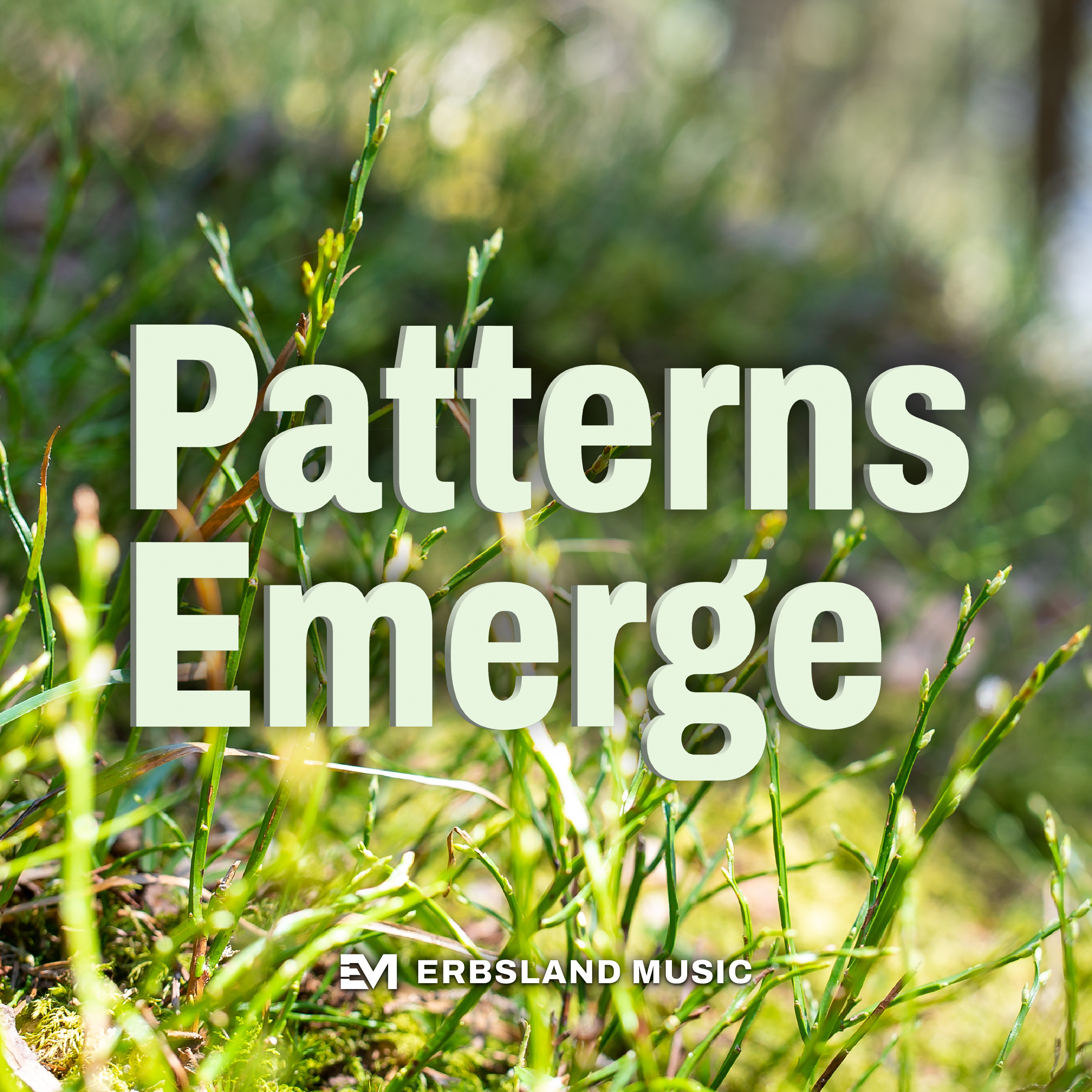Patterns Emerge